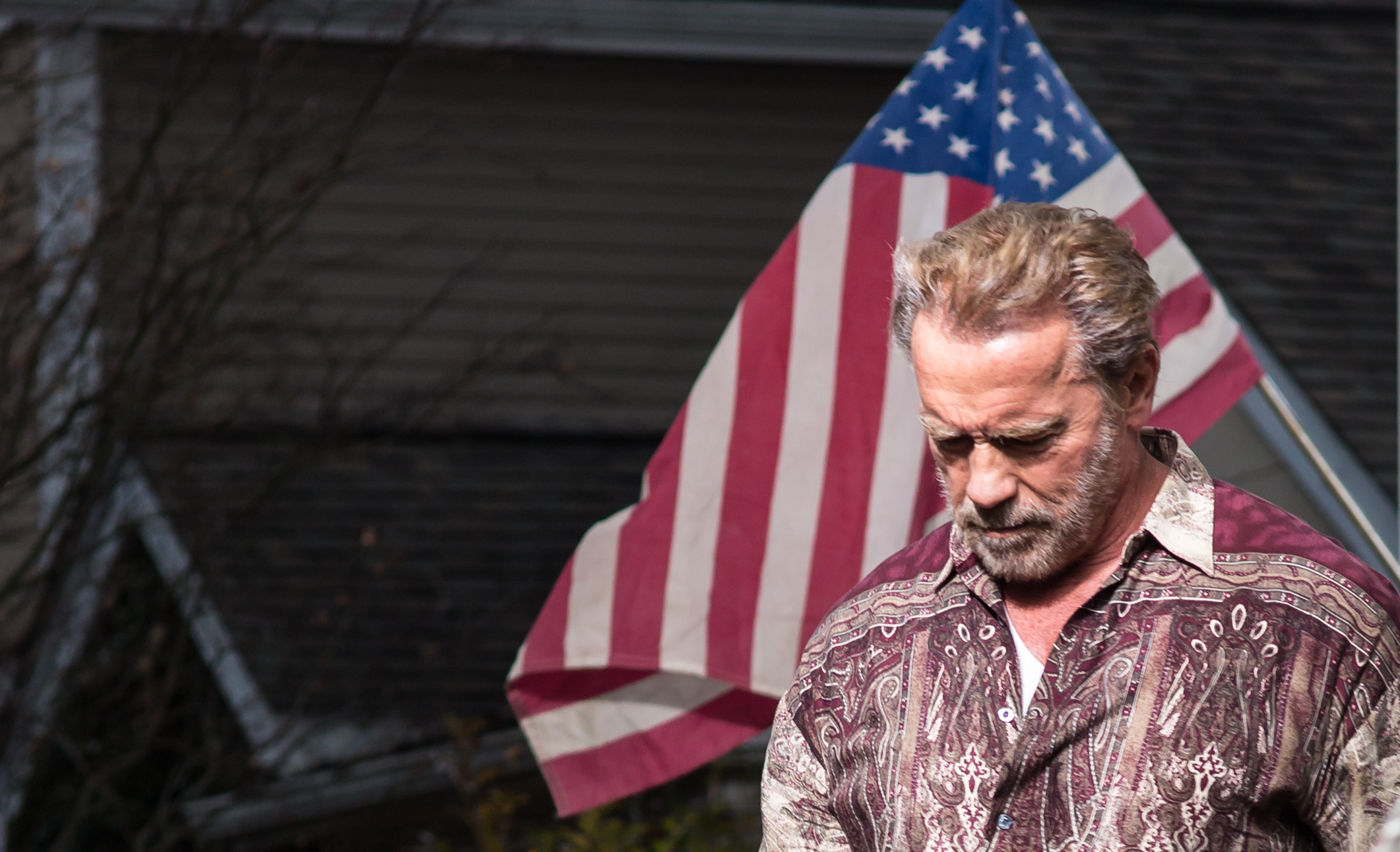 Aftermath, review 'Schwarzenegger acts!'